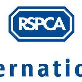 images/2010/04/13/RSPCA_International_logo.jpg